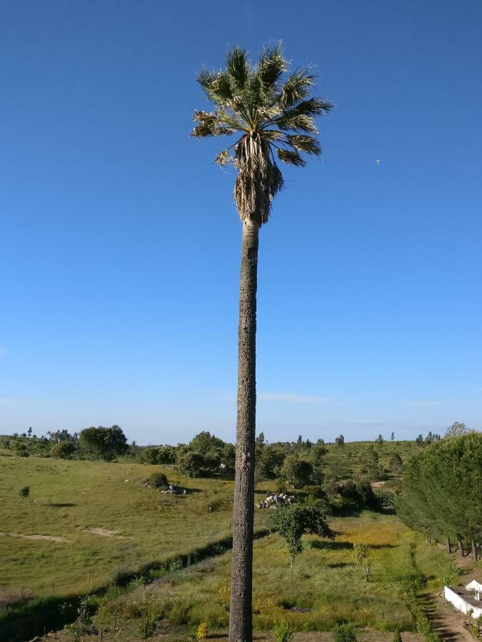 Гостьовий будинок Quinta Da Abrunheira - Gustavo Eiffel Ciborro Екстер'єр фото