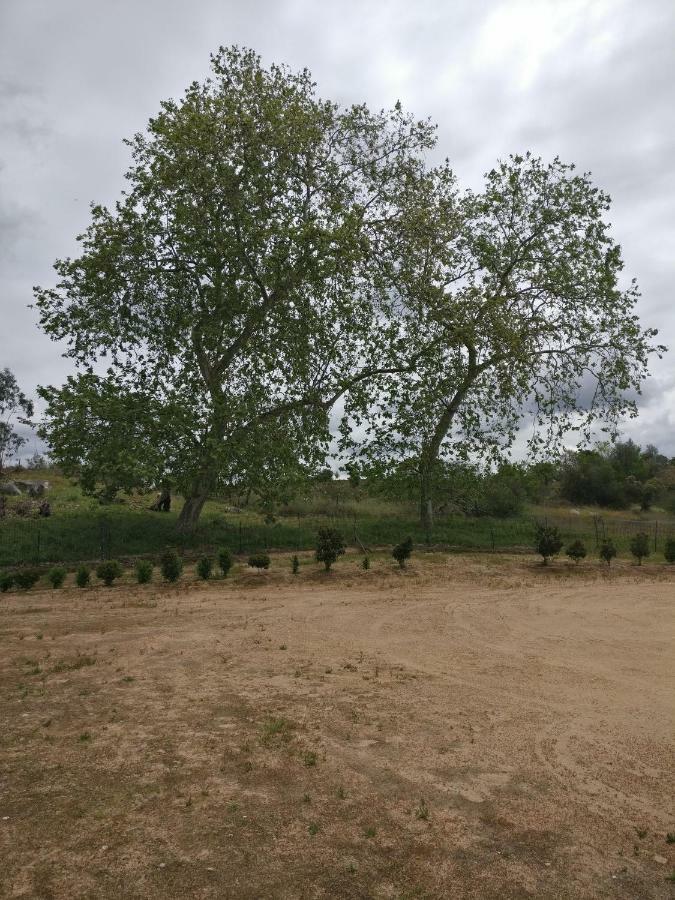 Гостьовий будинок Quinta Da Abrunheira - Gustavo Eiffel Ciborro Екстер'єр фото
