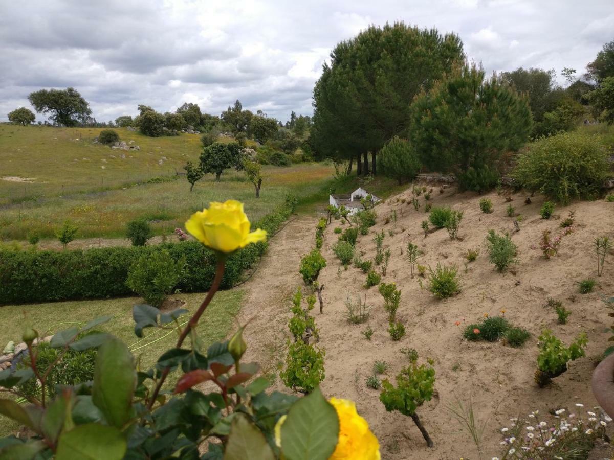 Гостьовий будинок Quinta Da Abrunheira - Gustavo Eiffel Ciborro Екстер'єр фото